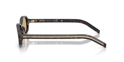 D06S SOLE