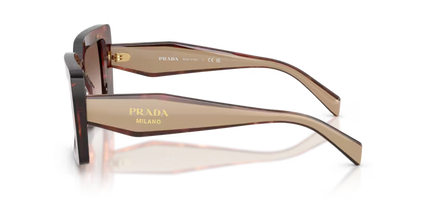 D01S SOLE